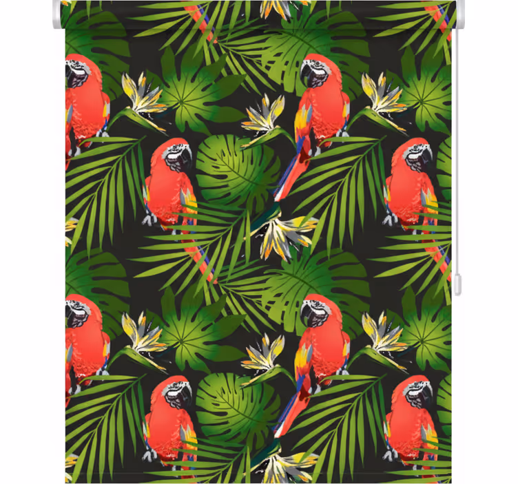 Blind kitchen colorful parrots on gray background - TenStickers