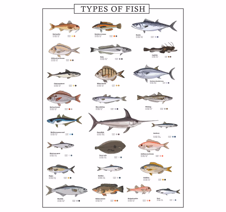 Blind kitchen fish selection - TenStickers