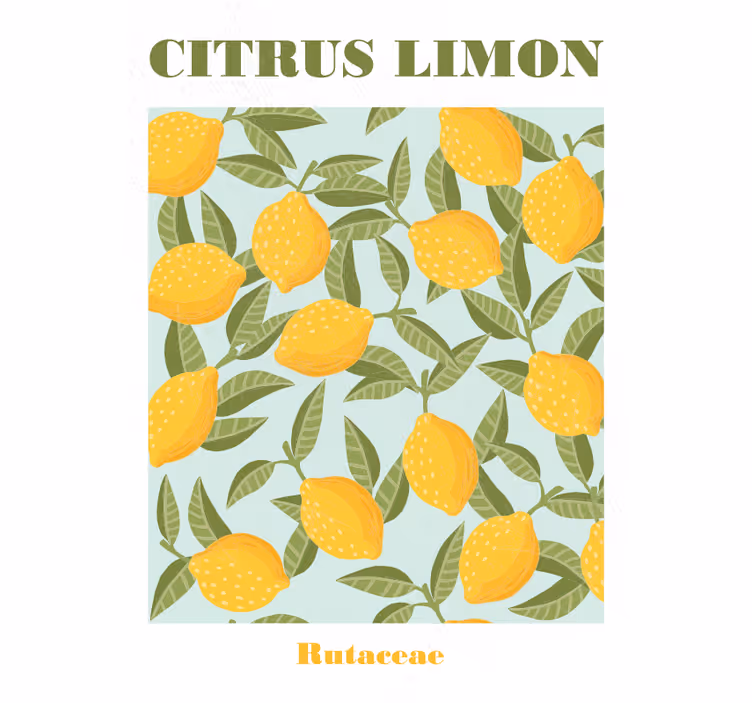 Blind kitchen lemon fruit - TenStickers