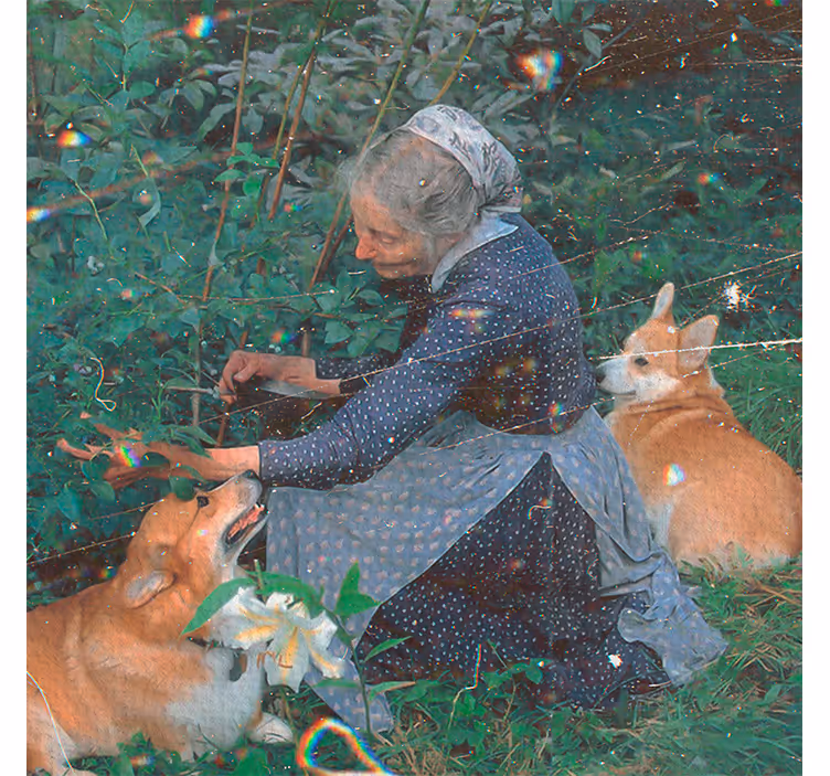 Living room blind grandmother with dogs garden - TenStickers