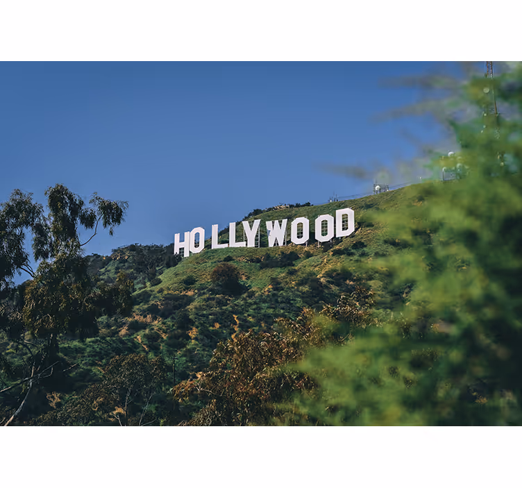 Blind bedroom hollywood sign - TenStickers
