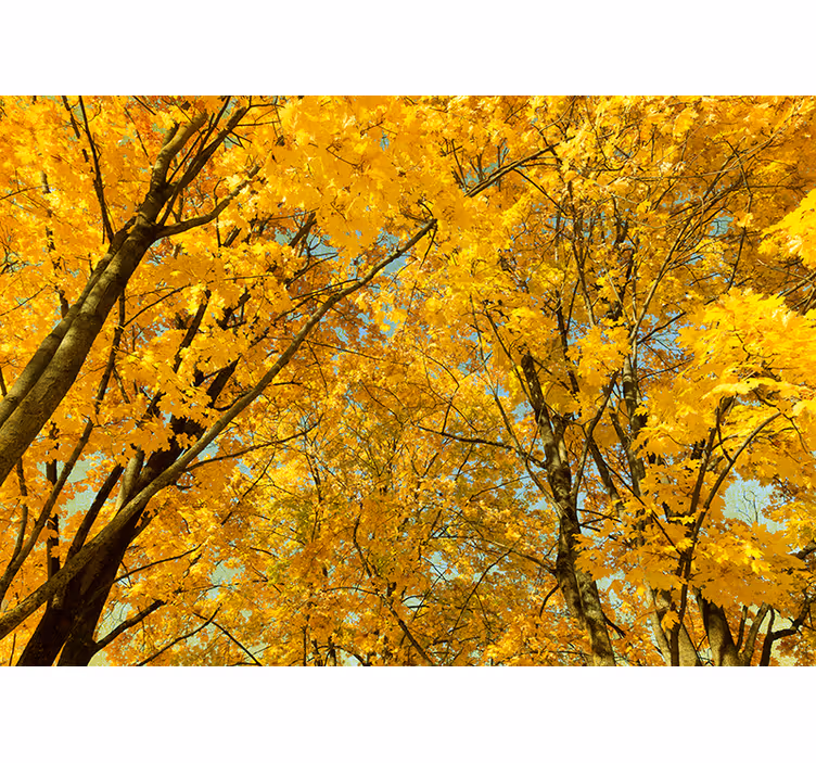 Blind bedroom with golden autumn leaves - TenStickers