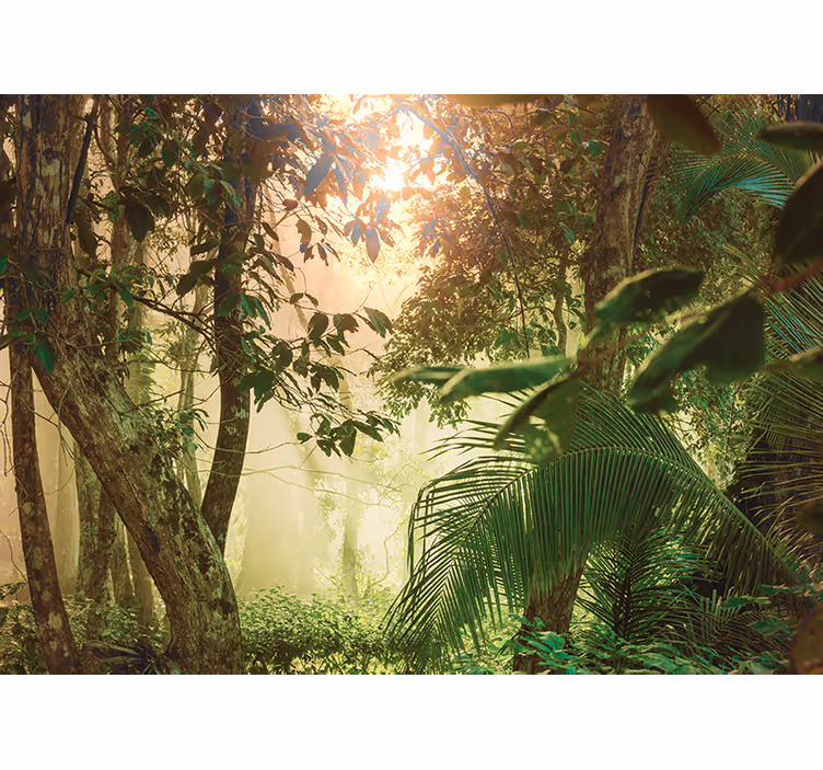 Blind bedroom inspired by amazonian living - TenStickers