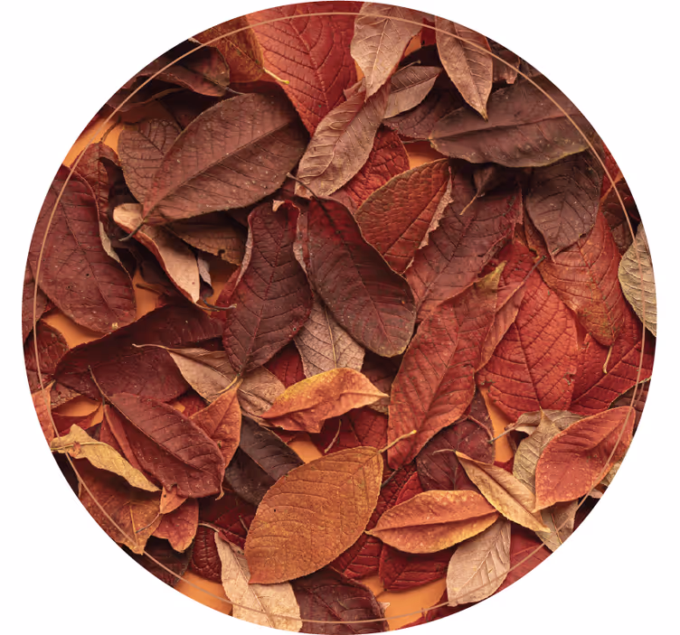 Blind bedroom autumnal dark flooring - TenStickers