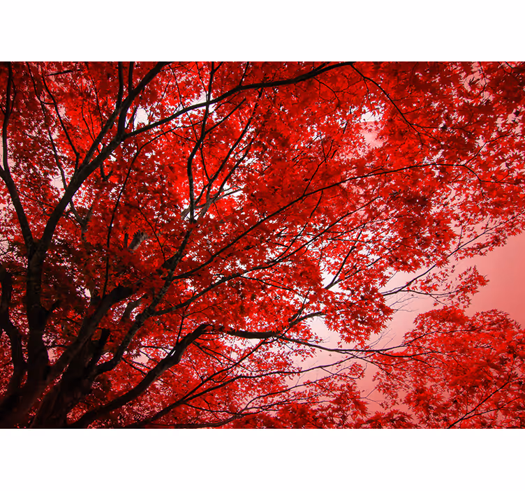 Living room blind with red branches design - TenStickers