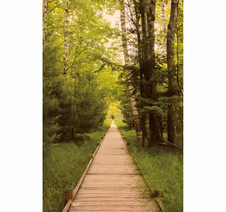 Blind teens idyllic gateway experience - TenStickers
