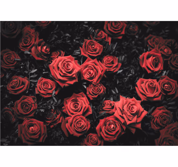 Red blind in black and white with red roses - TenStickers