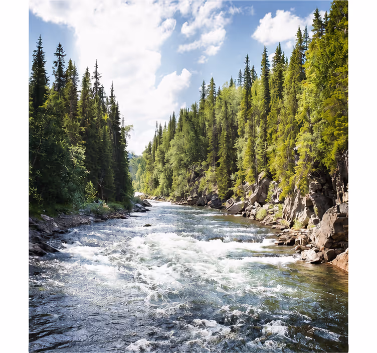Living room blind lake in the forest - TenStickers