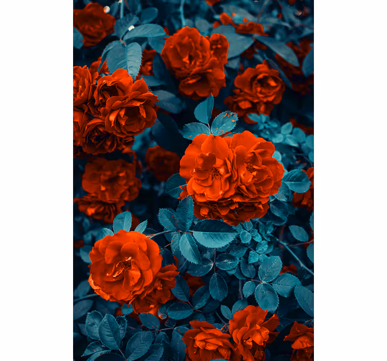 Red carnation flower and leaves Flower blind - TenStickers