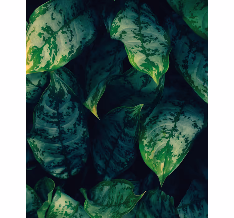 Vibrant green leaves blind flowers and plants - TenStickers