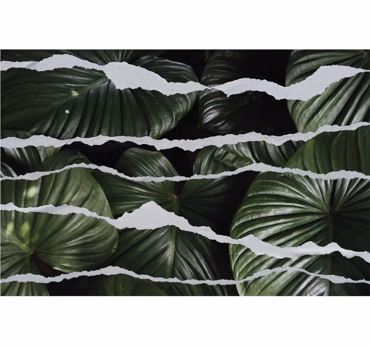 Torn leaf patterns blind kitchen - TenStickers