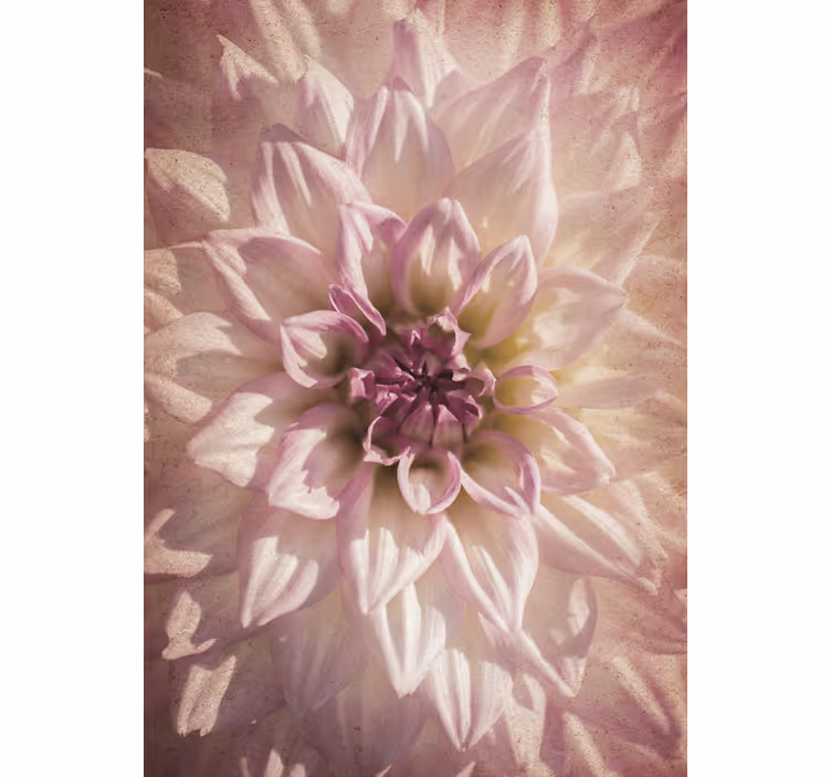 Delicate bloom blind flowers and plants - TenStickers