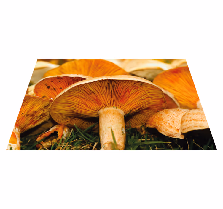 Original placemats mushrooms with ramen - TenStickers