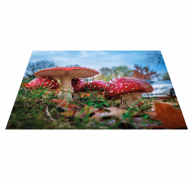 Modern placemats mushroom culinary landscape - TenStickers