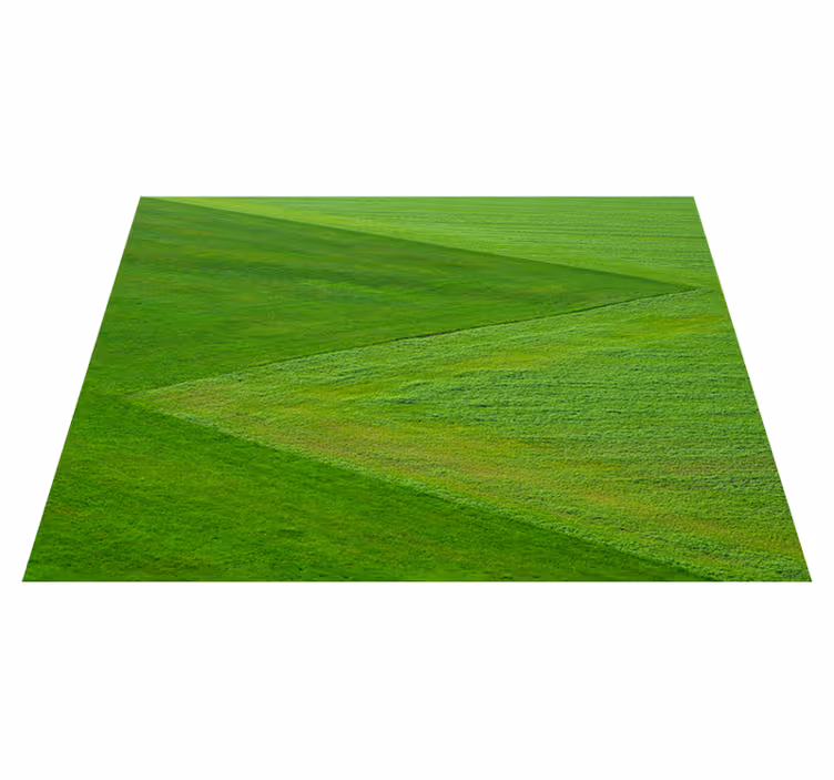 Children placemats creative rice design - TenStickers