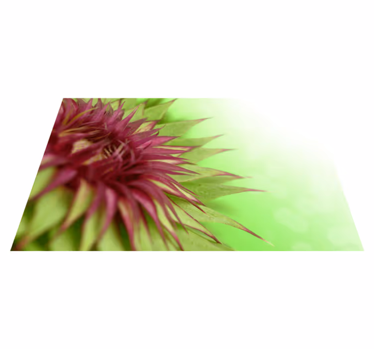 ThistleThistle is a prickly flowering plant found in many parts o - TenStickers