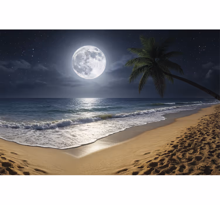 Under the sea wall mural full moon ocean - TenStickers