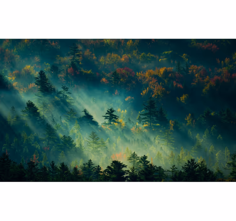 Forest wall mural the gloomy forest - TenStickers