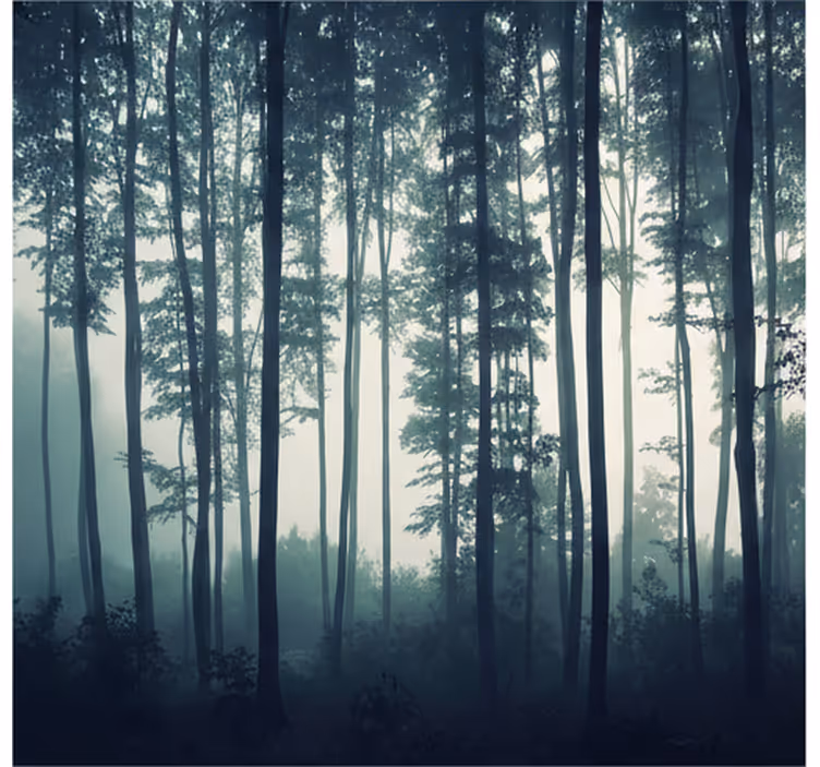Forest wall mural painted forest serenity - TenStickers