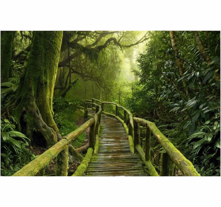Forest wall mural lush mossy boardwalk - TenStickers