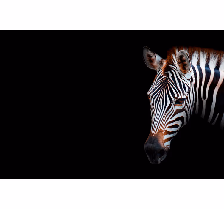 African wall mural zebra artwork - TenStickers