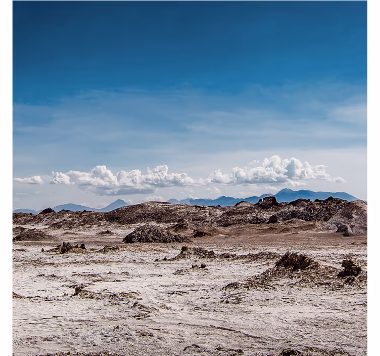Desert wall mural in aesthetic colors - TenStickers