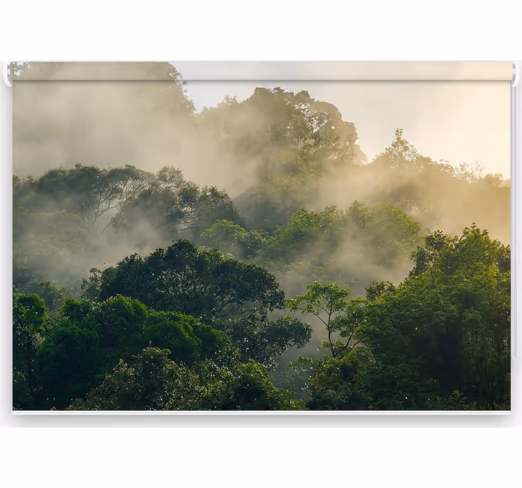 Jungle wall mural lush jungle canopy - TenStickers