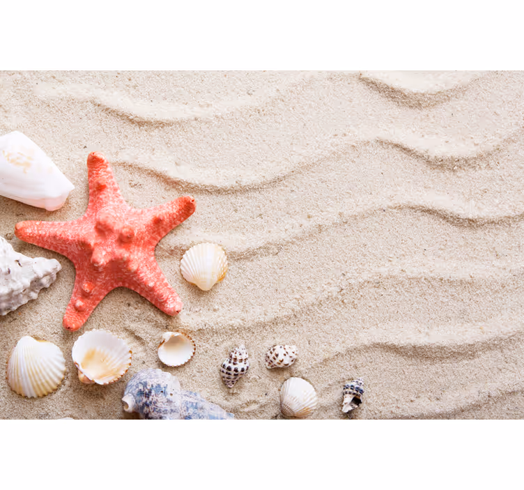 Wall mural bathroom starfish and shells on sand - TenStickers
