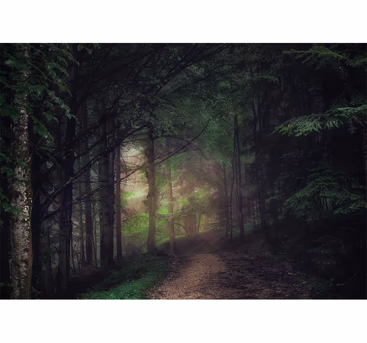 Hallway wall mural old-growth forest - TenStickers
