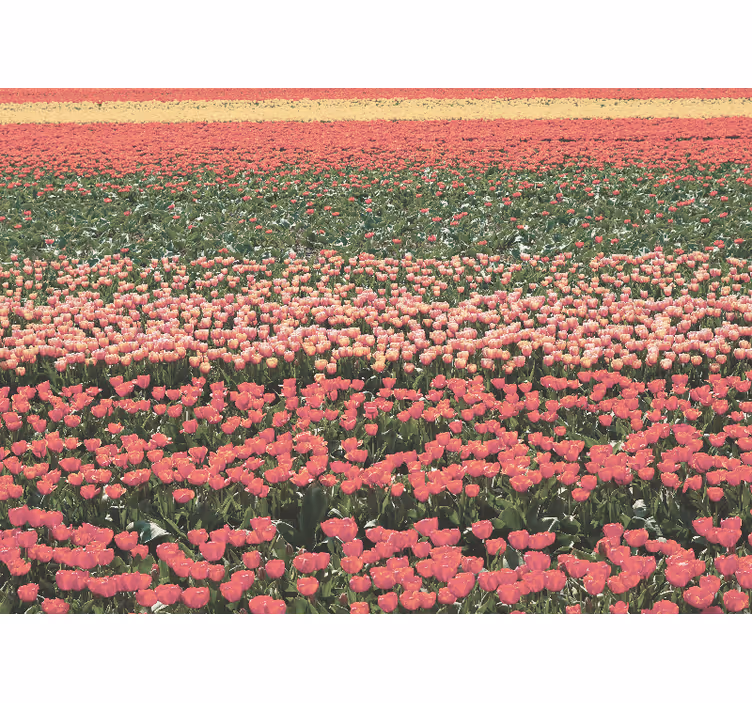 Hallway wall mural of unique flower field - TenStickers