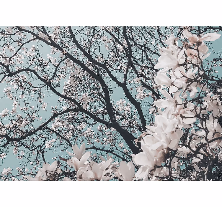 Wall mural entrance elegant japanese cherry blossom - TenStickers