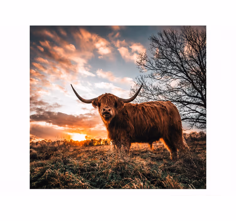 Wall mural nature wildlife - TenStickers