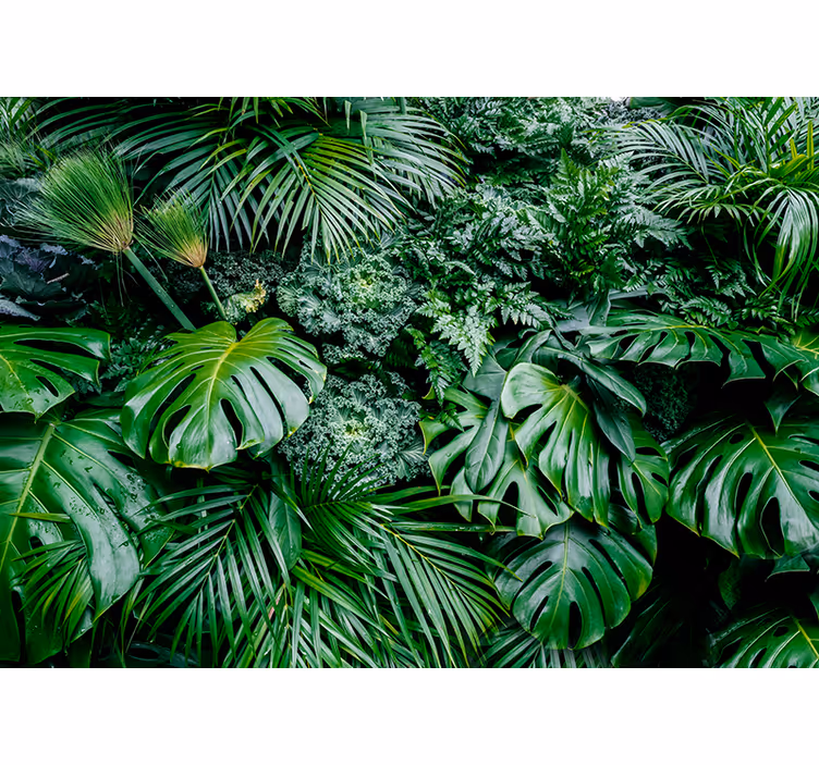Jungle Plants Mural Wallpaper - TenStickers