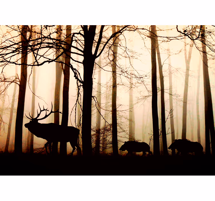 Woodland animals forest wall mural - TenStickers