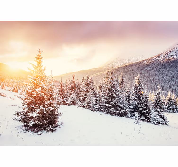 Forest wall mural icy pine landscape - TenStickers
