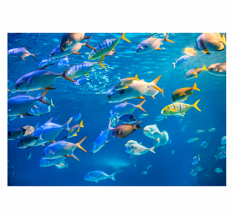 Animals wall mural underwater fish schooling - TenStickers