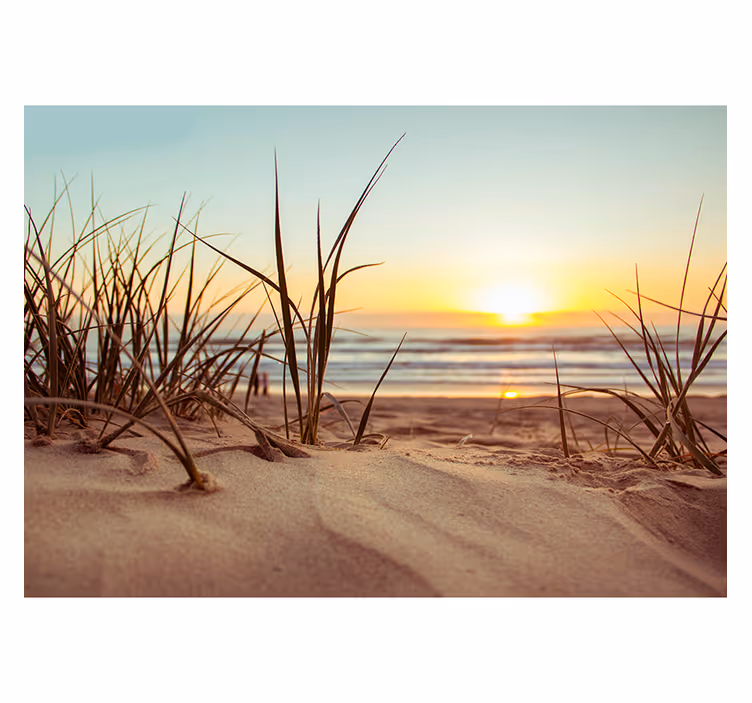 Serene beach sunset landscape wall mural - TenStickers