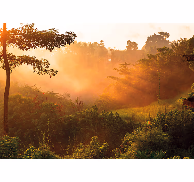 Wall mural nature tranquil woodland scenery - TenStickers