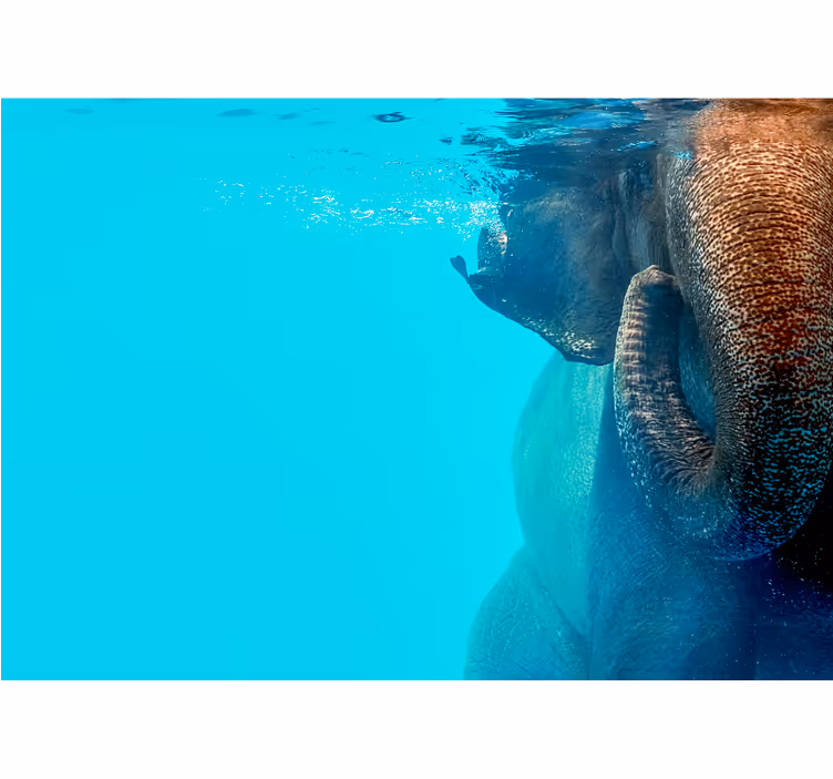 Majestic Underwater Elephant animals wall mural - TenStickers