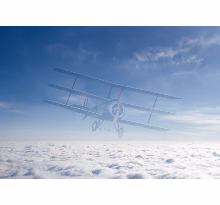 Vintage Airplane Flight wall mural vehicle - TenStickers