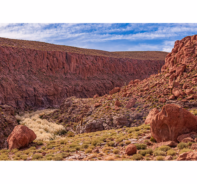 Red Desert Landscape wall mural mountain - TenStickers