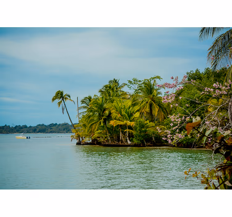 Tropical Island Oasis wall mural nature - TenStickers