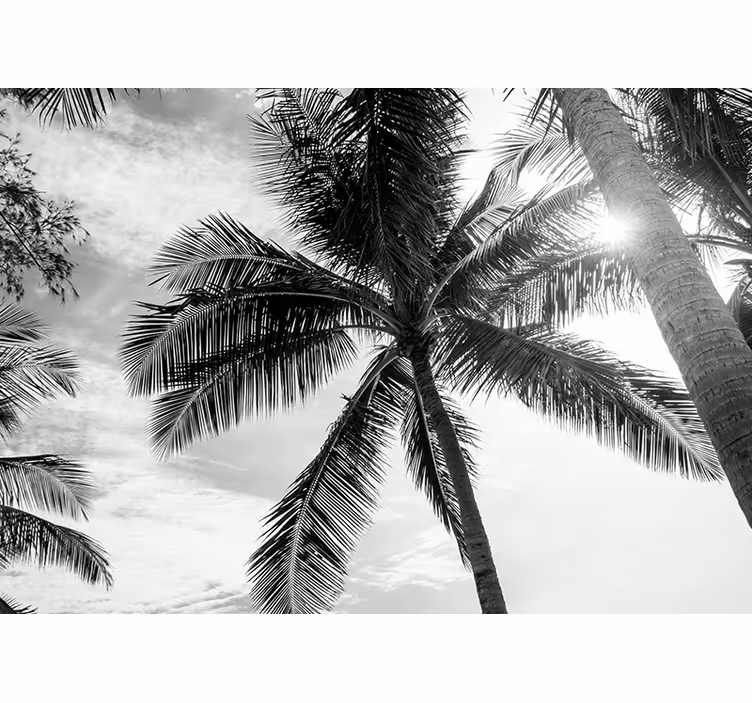 Tropical palm scene under the sea wall mural - TenStickers