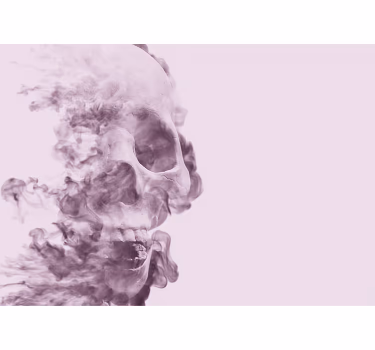Smoky Skull Silhouette animals wall mural - TenStickers