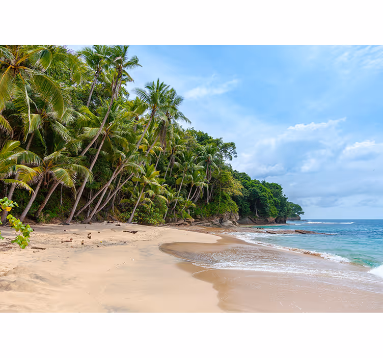 Wall mural nature tropical shore oasis - TenStickers