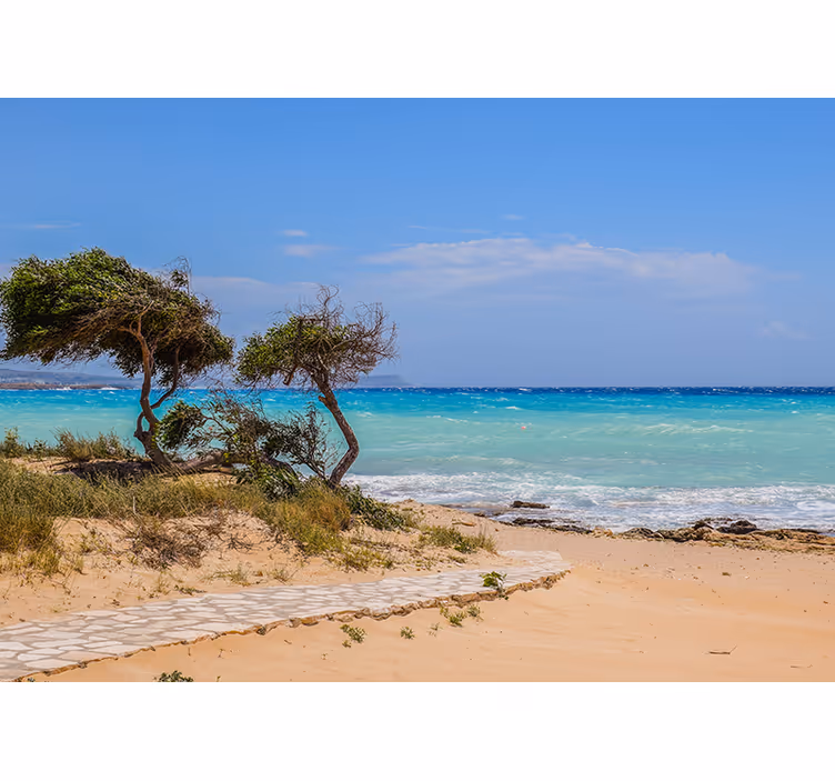 White path to the beach under the sea mural - TenStickers