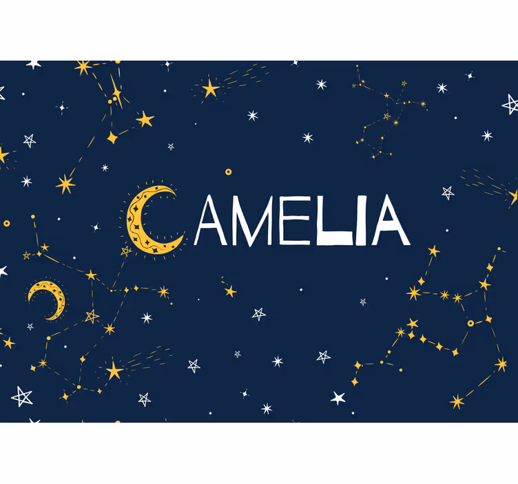 Constellations and moon Teenage Wall Murals - TenStickers
