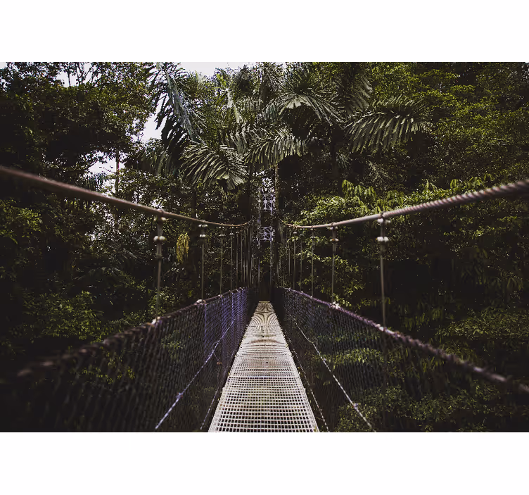 Suspension bridge adventure wall mural nature - TenStickers