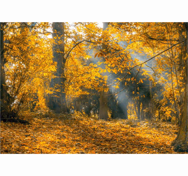 Golden autumn nature wall mural - TenStickers
