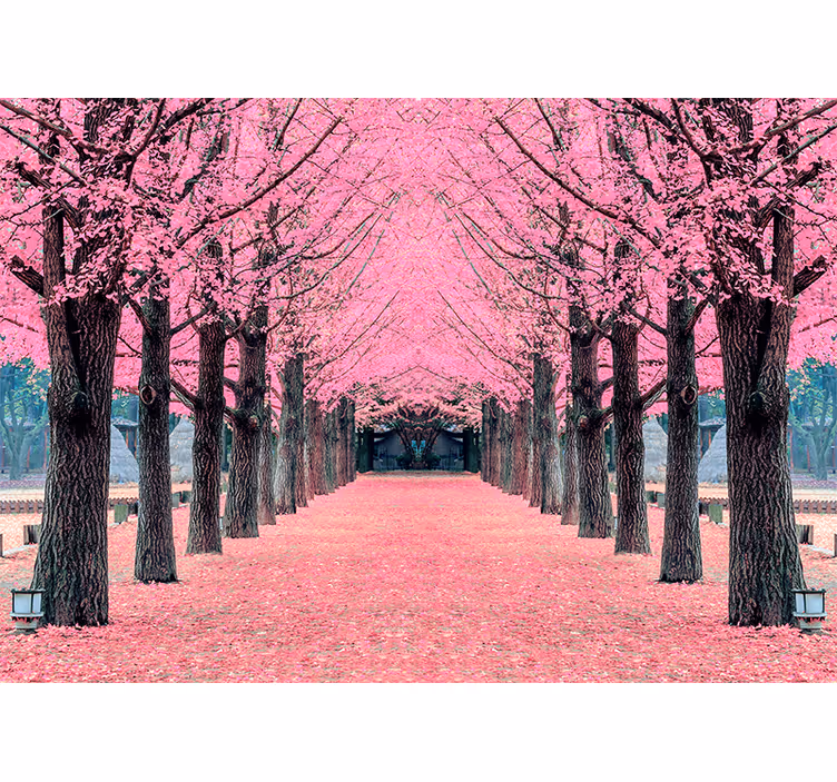 Cherry Blossom Path flower wall mural - TenStickers